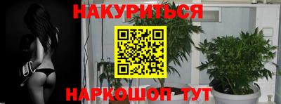 крисы Усть-Илимск