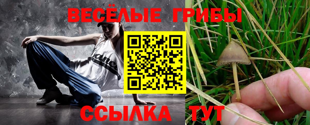 Галлюциногенные грибы GOLDEN TEACHER Осинники