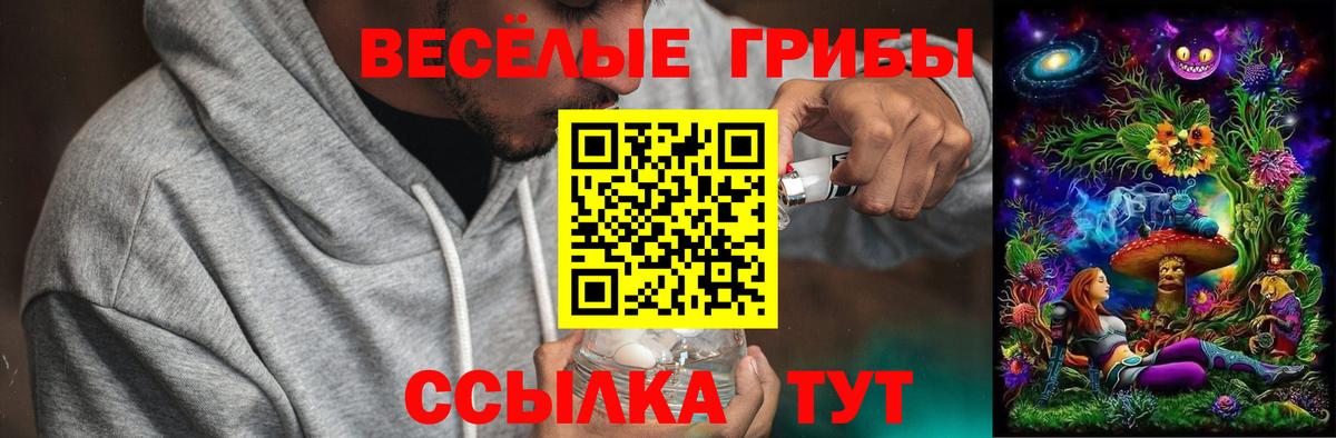 Осинники  Псилоцибиновые грибы GOLDEN TEACHER  Вход с VPN  Галлюциногенные грибы MAGIC MUSHROOMS 